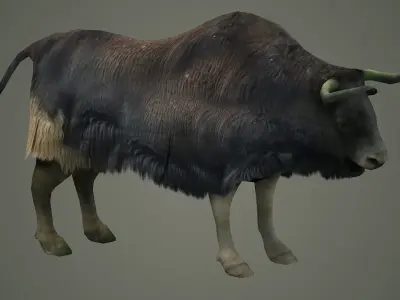animals mammal animation nature wild ox yak domestic yak 3D model
