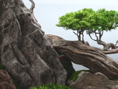 Aquascape aquarium Nature 3D model