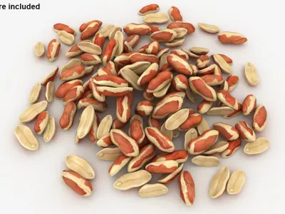 Peanut with Peel Pile 3D model