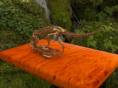 Tyrannosaurus dinosaur skeleton 3D model