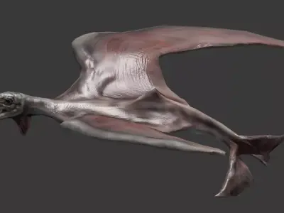 Terafin - prehistoric flying creature Low-poly 3D model