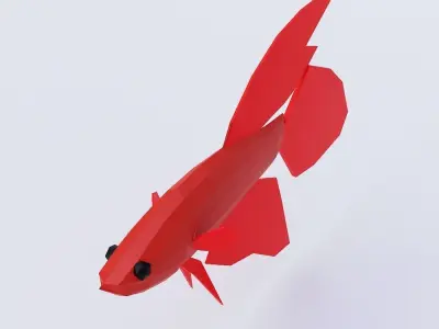 Red betta fish low poly 3d model  Low-poly 3D model