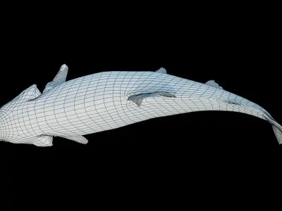 Chinook Salmon Low-poly 3D model