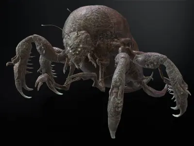 LandBug4 A1 Low-poly 3D model