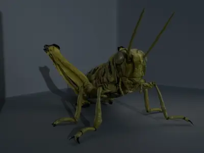 4 Type of insects Low-poly 3D model