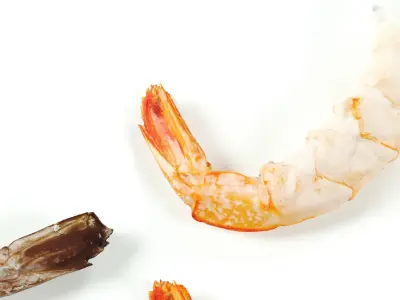 polypasta - shrimp 01 - peeled 3D model