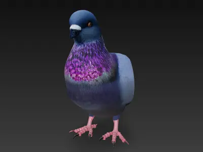 Pigeon 3D Model Basic - Low Poly Simple Low-poly 3D model