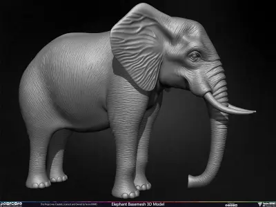 Elephant Basemesh 3D Model Low-poly 3D model