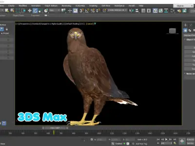 Realistic Animated Golden Eagle Low-poly 3D model