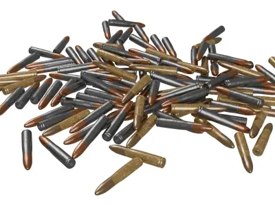 Pile Of Bullet 3D model