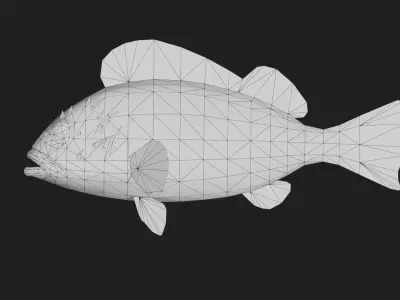 Scorpionfish Low-poly 3D model