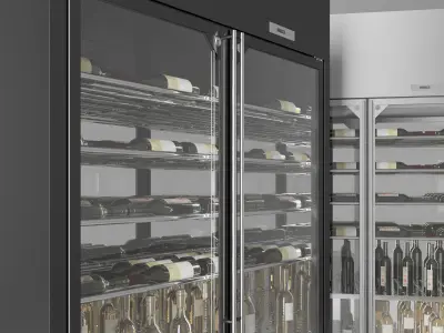  Wine cooler enofrigio 2P 1p wall h260 P60 3D model