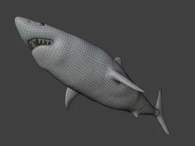 Megalodon great shark Low-poly 3D model