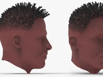 6 Afro Haircut Style 3D model