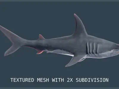 Hammerhead Shark Low-poly 3D model