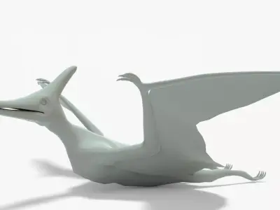 Pteranodon Rigged Basemesh Low-poly 3D model