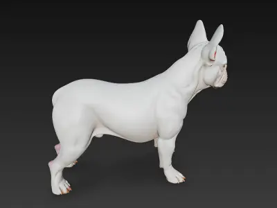French Bulldog White Dog Realistic 3D Model - Low Poly Realistic Low-poly 3D model