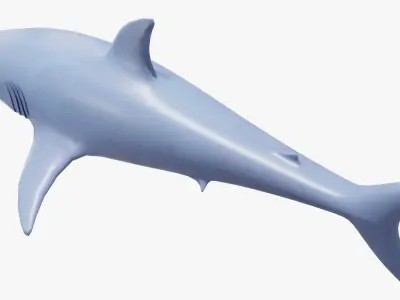 Cartoon Great White Shark Low-poly 3D model