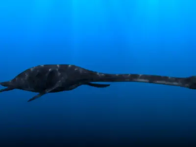 PLESIOSAURIO dinosaur swimming in ocean Low-poly 3D model