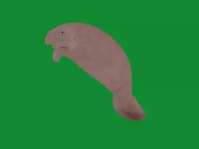 Manatee Free 3D model