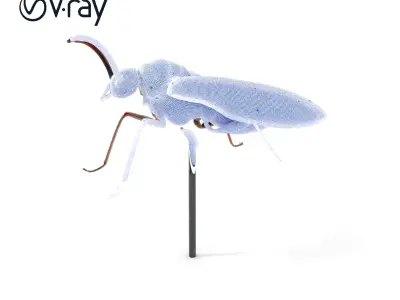 Steampunk Insect Model Pack with Detailed Craftsmanship Low-poly 3D model