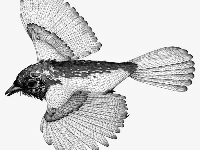 Bluejay jay in flight 3D model