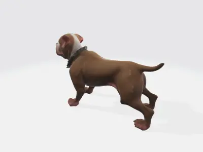 Pitbull dog 3D model