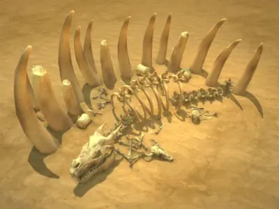 Skeletons pack Low-poly 3D model