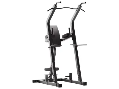 ATX Bodyweight Multi Tower 3D model