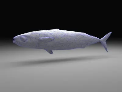 Mackerel fish  little tuna 3d model Low-poly 3D model