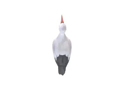 White Stork 3D model