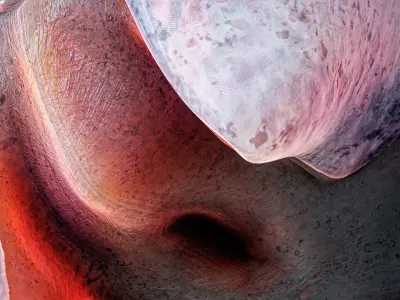 Alien Shrimp Parasite Creature PBR 3D model