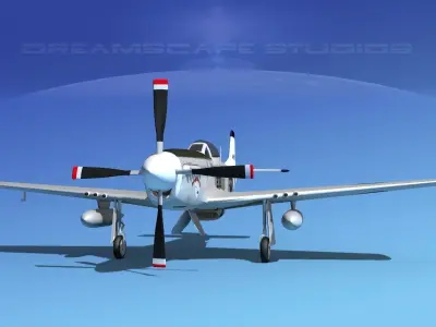 P-51D Mustang Acey-Ducey 3D model