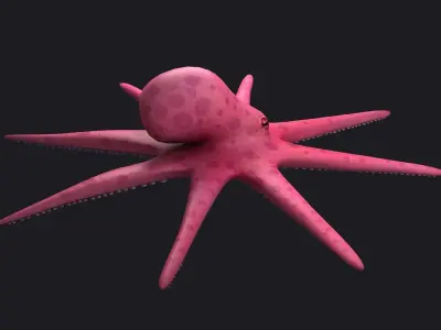 Octopus Cartoon fish underwater water nature sea ocean 3D model