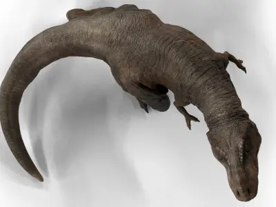 Tyrannosaurus 3D model