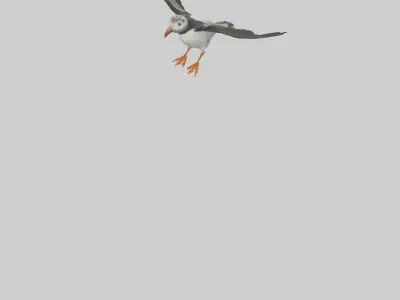 Puffin flying model Low-poly 3D model