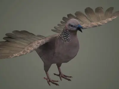 sparrow falcon eagle jay stork pelican swan 3D model