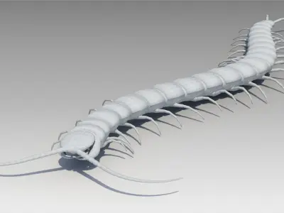 Centipede Low-poly 3D model