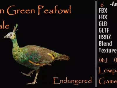 Green Peacock Bird Low-poly 3D model