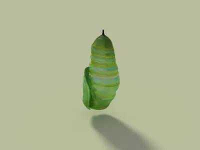 Insects Pack Ultra 3D model