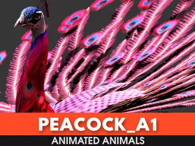 Peacock A1 3D model
