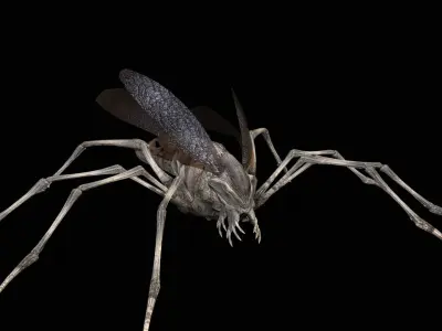 LandBug1 A1 Low-poly 3D model