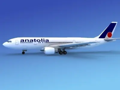 Airbus A-300 Air Anatolia 3D model