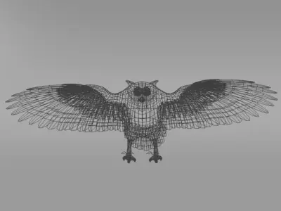 Barn Owl Low-poly 3D model
