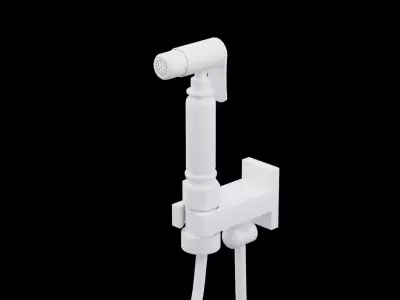 Toilet Jet Spray Low-poly 3D model
