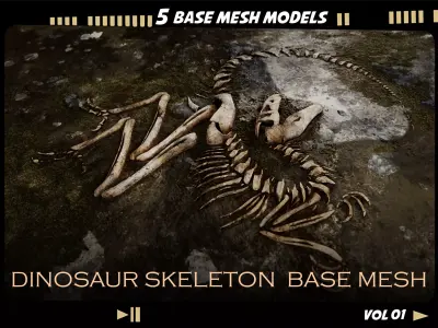 Dinosaur skeleton base mesh-vol 01 Low-poly 3D model