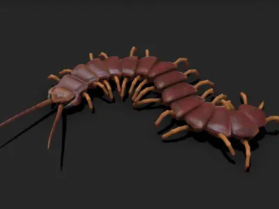 Centipede Rigged and Animated 3D model Low-poly 3D model
