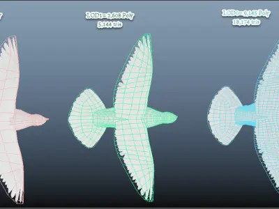 realistc White Dove- LOOP FLIGHT animation Low-poly 3D model
