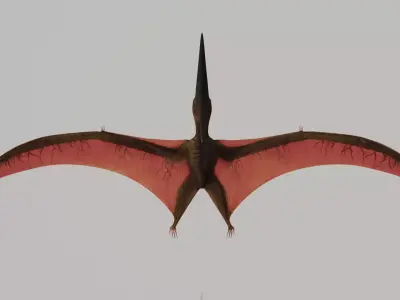 Pterodactyl dinosaur flying in air Low-poly 3D model