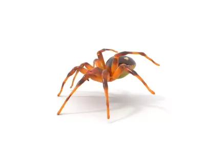 Spotted Spider Texture model pack Low-poly 3D model